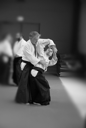 IMG_7517D